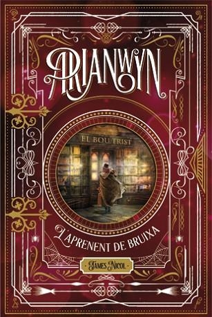 ARIANWYN 1 L'APRENENT DE BRUIXA | 9788424658694 | NICOL, JAMES | Llibreria Online de Vilafranca del Penedès | Comprar llibres en català