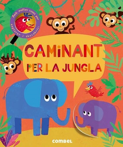 CAMINANT PER LA JUNGLA | 9788491011439 | LITTON, JONATHAN | Llibreria Online de Vilafranca del Penedès | Comprar llibres en català