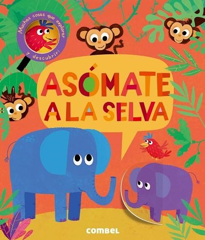 ASÓMATE A LA SELVA | 9788491011446 | LITTON, JONATHAN | Llibreria Online de Vilafranca del Penedès | Comprar llibres en català