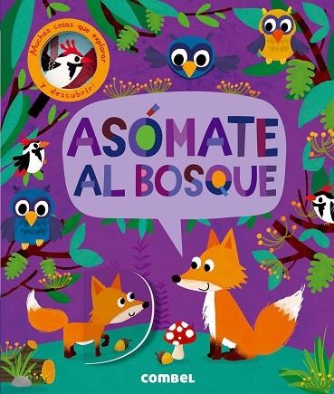 ASÓMATE AL BOSQUE | 9788491011460 | LITTON, JONATHAN | Llibreria Online de Vilafranca del Penedès | Comprar llibres en català