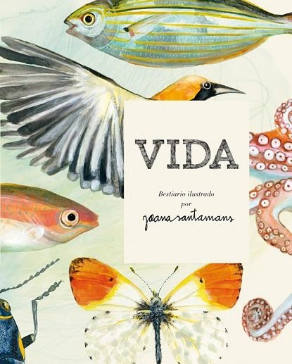 VIDA BESTIARIO ILUSTRADO POR JOANA SANTAMANS | 9788416670017 | SANTAMANS, JOANA | Llibreria Online de Vilafranca del Penedès | Comprar llibres en català