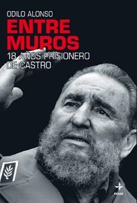 ENTRE MUROS | 9788441426719 | ALONSO FERNÁNDEZ, ODILO | Llibreria Online de Vilafranca del Penedès | Comprar llibres en català