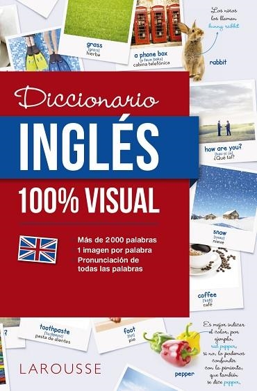 DICCIONARIO DE INGLÉS 100% VISUAL | 9788416641772 | LAROUSSE EDITORIAL | Llibreria Online de Vilafranca del Penedès | Comprar llibres en català