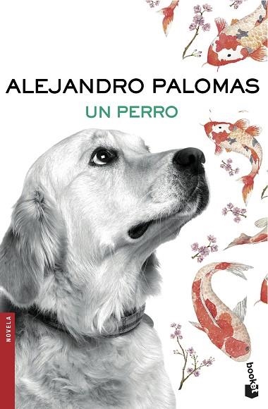 UN PERRO | 9788423351862 | PALOMAS, ALEJANDRO | Llibreria Online de Vilafranca del Penedès | Comprar llibres en català