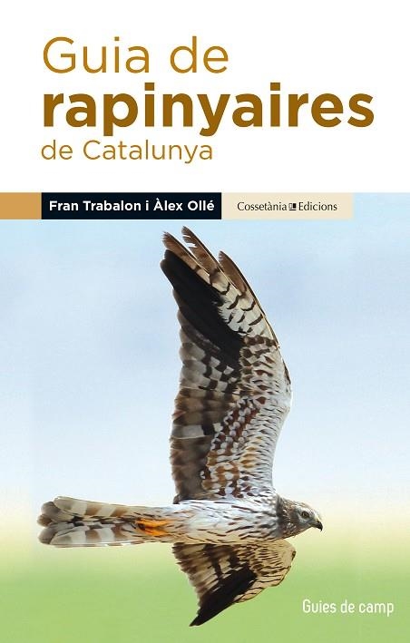 GUIA DE RAPINYAIRES DE CATALUNYA | 9788490345252 | OLLÉ TORNÉ, ÀLEX/TRABALON CARRICONDO, FRAN | Llibreria Online de Vilafranca del Penedès | Comprar llibres en català