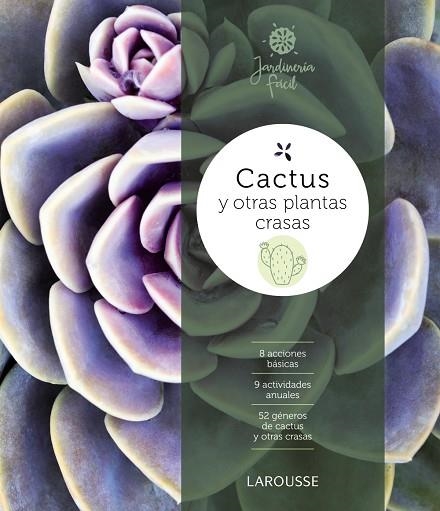 CACTUS Y OTRAS PLANTAS CRASAS | 9788416641857 | FONT BARRIS, JORDI | Llibreria Online de Vilafranca del Penedès | Comprar llibres en català