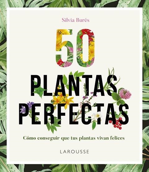 50 PLANTAS PERFECTAS | 9788416641840 | BURÉS, SILVIA | Llibreria Online de Vilafranca del Penedès | Comprar llibres en català