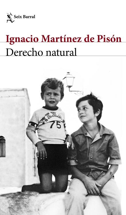 DERECHO NATURAL | 9788432232220 | MARTINEZ DE PISON, IGNACIO | Llibreria Online de Vilafranca del Penedès | Comprar llibres en català