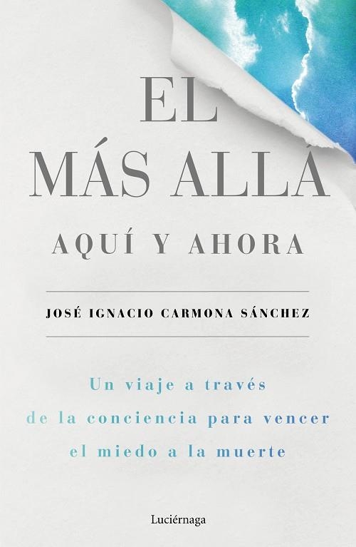 EL MÁS ALLÁ AQUÍ Y AHORA | 9788416694624 | CARMONA, JOSE IGNACIO | Llibreria Online de Vilafranca del Penedès | Comprar llibres en català