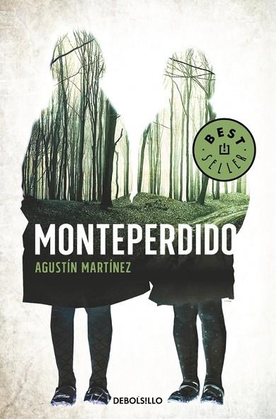 MONTEPERDIDO | 9788466340328 | MARTINEZ, AGUSTIN | Llibreria Online de Vilafranca del Penedès | Comprar llibres en català