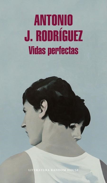 VIDAS PERFECTAS | 9788439732891 | RODRIGUEZ, ANTONIO | Llibreria Online de Vilafranca del Penedès | Comprar llibres en català