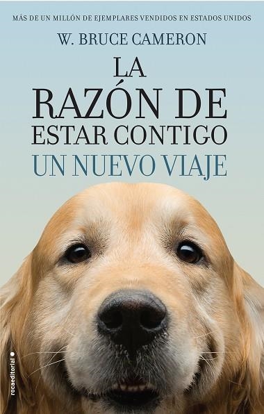 LA RAZÓN DE ESTAR CONTIGO UN NUEVO VIAJE | 9788416867912 | CAMERON, W. BRUCE | Llibreria Online de Vilafranca del Penedès | Comprar llibres en català