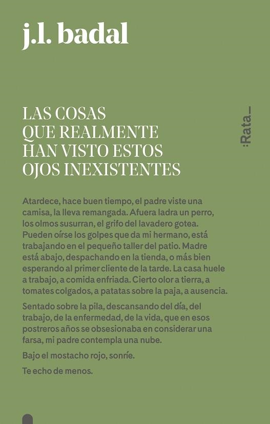 LAS COSAS QUE REALMENTE HAN VISTO ESTOS OJOS INEXISTENTES | 9788416738151 | BADAL, JOSEP LLUÍS | Llibreria L'Odissea - Libreria Online de Vilafranca del Penedès - Comprar libros