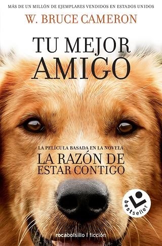 LA RAZÓN DE ESTAR CONTIGO | 9788416240920 | CAMERON, W. BRUCE | Llibreria Online de Vilafranca del Penedès | Comprar llibres en català