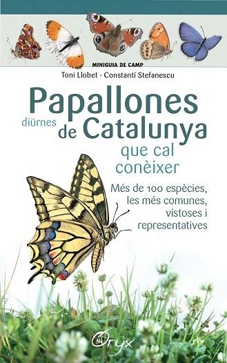 PAPALLONES DIÜRNES DE CATALUNYA | 9788490346754 | LLOBET FRANÇOIS, TONI / STEFANESCU, CONSTANTÍ | Llibreria Online de Vilafranca del Penedès | Comprar llibres en català