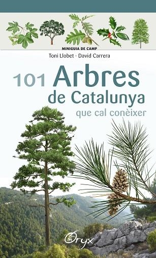 101 ARBRES DE CATALUNYA | 9788490346778 | LLOBET FRANÇOIS, TONI / CARRERA BONET, DAVID | Llibreria Online de Vilafranca del Penedès | Comprar llibres en català