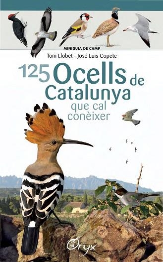 125 OCELLS DE CATALUNYA | 9788490346747 | LLOBET FRANÇOIS, TONI / COPETE, JOSÉ LUIS | Llibreria Online de Vilafranca del Penedès | Comprar llibres en català