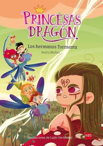 PRINCESAS DRAGON 5 LOS HERMANOS TORMENTA | 9788491073116 | MAÑAS ROMERO, PEDRO | Llibreria Online de Vilafranca del Penedès | Comprar llibres en català