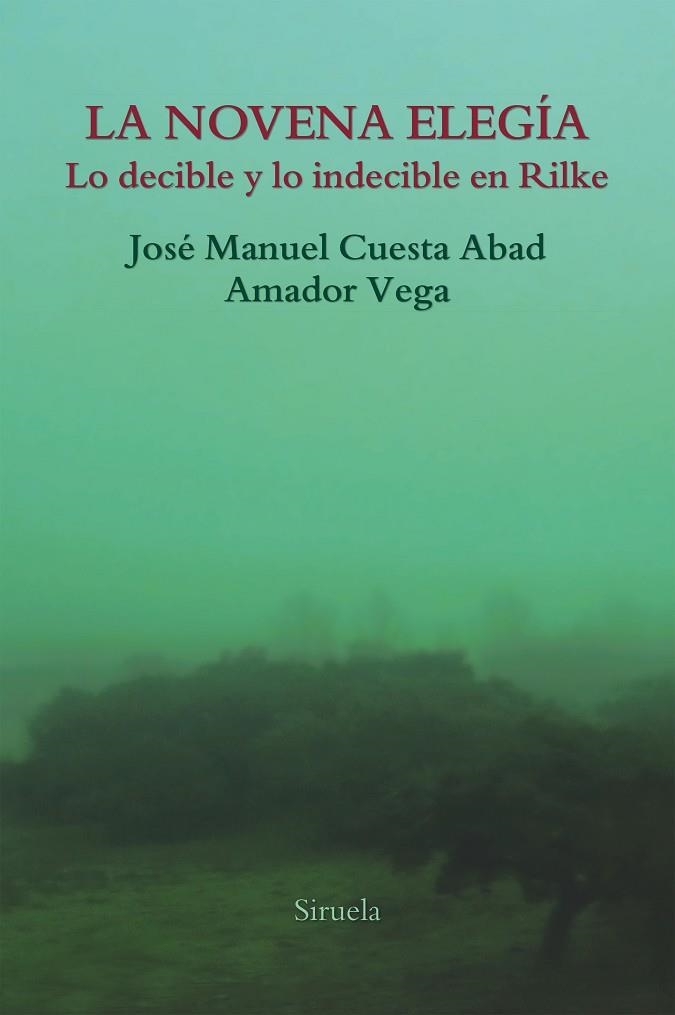 LA NOVENA ELEGÍA | 9788417151997 | VEGA, AMADOR / CUESTA ABAD, JOSÉ MANUEL | Llibreria Online de Vilafranca del Penedès | Comprar llibres en català