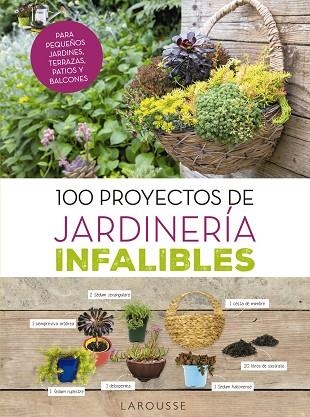 100 PROYECTOS DE JARDINERÍA INFALIBLES | 9788416984725 | DELVAUX, CATHERINE | Llibreria Online de Vilafranca del Penedès | Comprar llibres en català