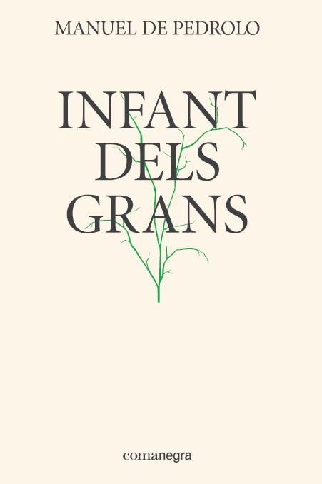 INFANT DELS GRANS | 9788417188337 | PEDROLO I MOLINA, MANUEL DE | Llibreria Online de Vilafranca del Penedès | Comprar llibres en català