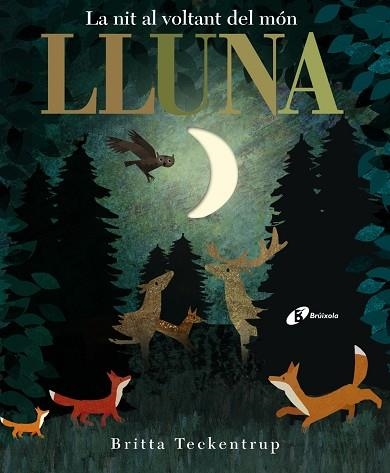 LLUNA | 9788499068497 | HEGARTY, PATRICIA | Llibreria Online de Vilafranca del Penedès | Comprar llibres en català