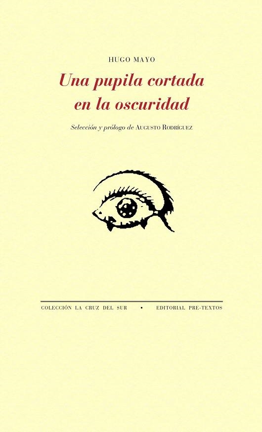 UNA PUPILA CORTADA EN LA OSCURIDAD | 9788417143459 | MAYO, HUGO | Llibreria Online de Vilafranca del Penedès | Comprar llibres en català