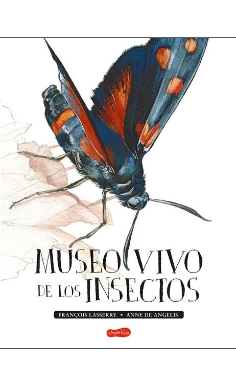 MUSEO VIVO DE LOS INSECTOS | 9788417222123 | LASSERRE, FRANÇOIS | Llibreria Online de Vilafranca del Penedès | Comprar llibres en català