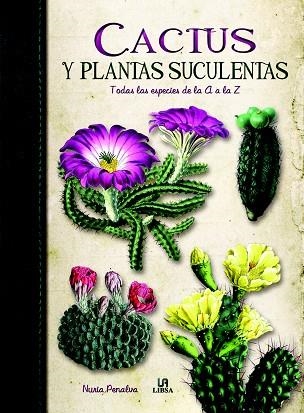 CACTUS Y PLANTAS SUCULENTAS | 9788466226325 | PENALVA, NURIA/EQUIPO EDITORIAL | Llibreria L'Odissea - Libreria Online de Vilafranca del Penedès - Comprar libros