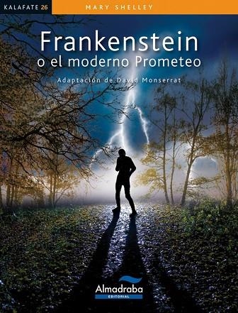 FRANKENSTEIN O EL MODERNO PROMETEO | 9788483088203 | SHELLEY, MARY | Llibreria Online de Vilafranca del Penedès | Comprar llibres en català