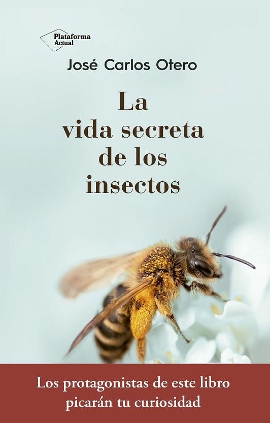 LA VIDA SECRETA DE LOS INSECTOS | 9788417376789 | OTERO GONZÁLEZ, JOSÉ CARLOS | Llibreria Online de Vilafranca del Penedès | Comprar llibres en català