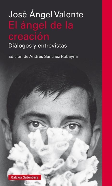 EL ÁNGEL DE LA CREACIÓN | 9788417355708 | VALENTE, JOSÉ ÁNGEL | Llibreria Online de Vilafranca del Penedès | Comprar llibres en català