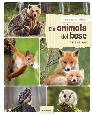 ELS ANIMALS DEL BOSC | 9788417599027 | POMPEÏ, CHRISTINE | Llibreria L'Odissea - Libreria Online de Vilafranca del Penedès - Comprar libros