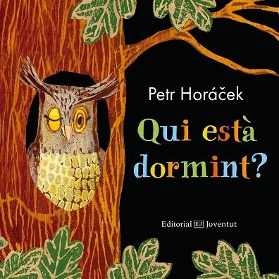 QUI ESTÀ DORMINT? | 9788426145185 | HORÁCEK, PETR | Llibreria L'Odissea - Libreria Online de Vilafranca del Penedès - Comprar libros