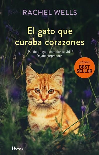 EL GATO QUE CURABA CORAZONES | 9788417128173 | WELLS, RACHEL | Llibreria Online de Vilafranca del Penedès | Comprar llibres en català