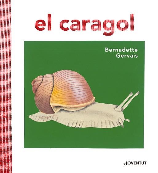 EL CARAGOL | 9788426145680 | GERVAIS, BERNADETTE | Llibreria L'Odissea - Libreria Online de Vilafranca del Penedès - Comprar libros