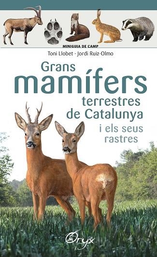 GRANS MAMÍFERS TERRESTRES DE CATALUNYA I ELS SEUS RASTRES | 9788490347881 | LLOBET FRANÇOIS , TONI/RUIZ-OLMO, JORDI | Llibreria Online de Vilafranca del Penedès | Comprar llibres en català