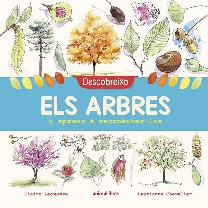 DESCOBREIXO ELS ARBRES I APRENC A RECONÈIXER-LOS | 9788417599195 | LECOEUVRE, CLAIRE | Llibreria L'Odissea - Libreria Online de Vilafranca del Penedès - Comprar libros