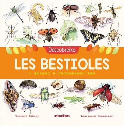 DESCOBREIXO LES BESTIOLES I APRENC A RECONÈIXER-LES | 9788417599201 | ALBOUY, VINCENT | Llibreria L'Odissea - Libreria Online de Vilafranca del Penedès - Comprar libros