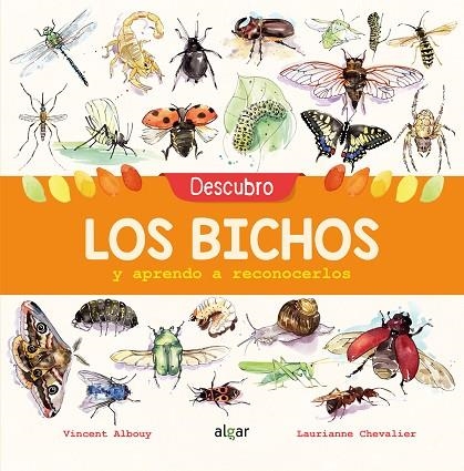 DESCUBRO LOS BICHOS Y APRENDO A RECONOCERLOS | 9788491422969 | ALBOUY, VINCENT | Llibreria Online de Vilafranca del Penedès | Comprar llibres en català