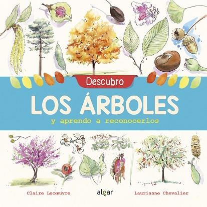 DESCUBRO LOS ÁRBOLES Y APRENDO A RECONOCERLOS | 9788491422952 | LECOEUVRE, CLAIRE | Llibreria Online de Vilafranca del Penedès | Comprar llibres en català