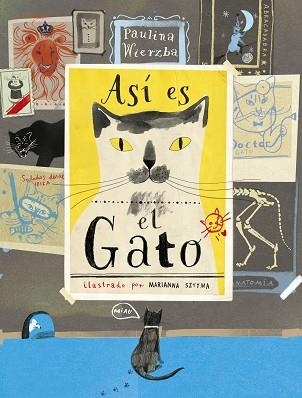 ASÍ ES EL GATO | 9788494992605 | WIERZBA, PAULINA | Llibreria Online de Vilafranca del Penedès | Comprar llibres en català