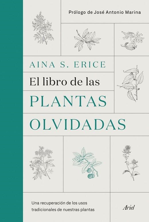 EL LIBRO DE LAS PLANTAS OLVIDADAS | 9788434431461 | S. ERICE, AINA | Llibreria Online de Vilafranca del Penedès | Comprar llibres en català