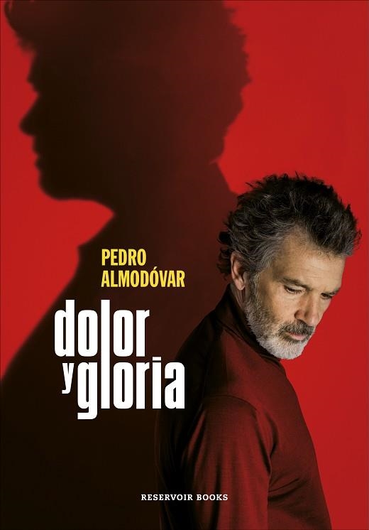 DOLOR Y GLORIA | 9788417910303 | ALMODÓVAR, PEDRO | Llibreria Online de Vilafranca del Penedès | Comprar llibres en català