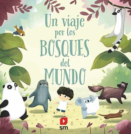 UN VIAJE POR LOS BOSQUES DEL MUNDO | 9788413181653 | HANA, PAVLA | Llibreria Online de Vilafranca del Penedès | Comprar llibres en català