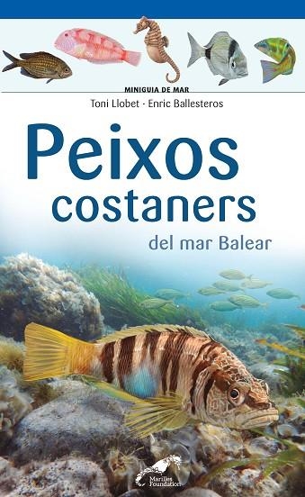 PEIXOS COSTANERS DEL MAR BALEAR | 9788490349403 | LLOBET FRANÇOIS , TONI/BALLESTEROS SAGARRA , ENRIC | Llibreria Online de Vilafranca del Penedès | Comprar llibres en català