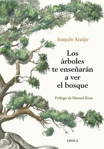 LOS ÁRBOLES TE ENSEÑARÁN A VER EL BOSQUE | 9788491992080 | ARAÚJO, JOAQUÍN | Llibreria Online de Vilafranca del Penedès | Comprar llibres en català