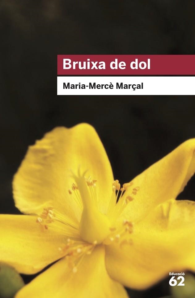 BRUIXA DE DOL (1977-1979) | 9788415954736 | MARÇAL SERRA, M. MERCÈ | Llibreria L'Odissea - Libreria Online de Vilafranca del Penedès - Comprar libros