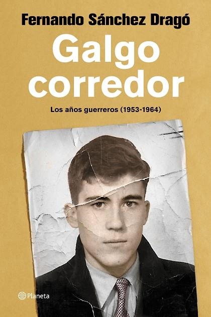 GALGO CORREDOR | 9788408223337 | SÁNCHEZ DRAGÓ, FERNANDO | Llibreria Online de Vilafranca del Penedès | Comprar llibres en català