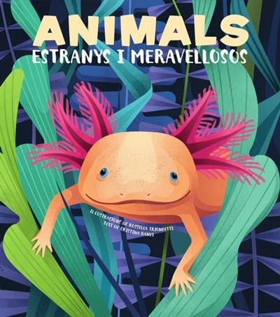 ANIMALS EXTRANYS I MERAVELLOSOS (VVKIDS) | 9788468270685 | BANFI, CRISTINA | Llibreria Online de Vilafranca del Penedès | Comprar llibres en català